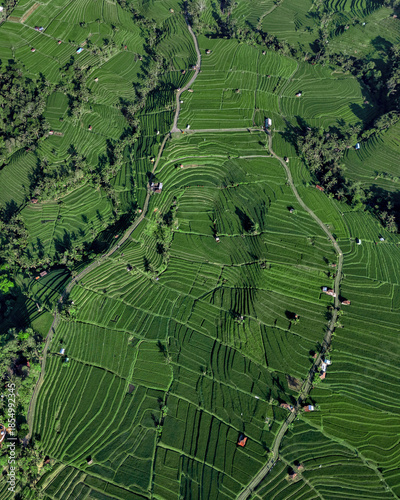Aerial Top Down View Rice Terraces Lush Green Patchwork Of Terraced Paddies, Winding Footpaths, Scattered