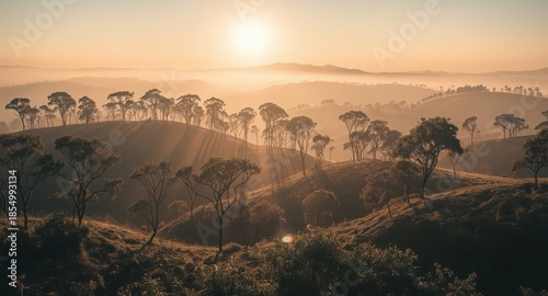 A scenic view of rolling hills covered in trees during a hazy golden sunrise time