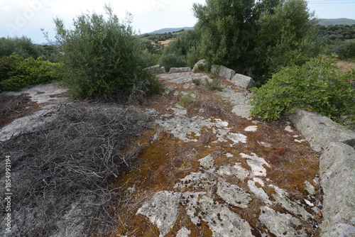 Bild auf Leinwand Stazzi di Sardegna