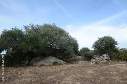 Картината върху платно Stazzi di Sardegna