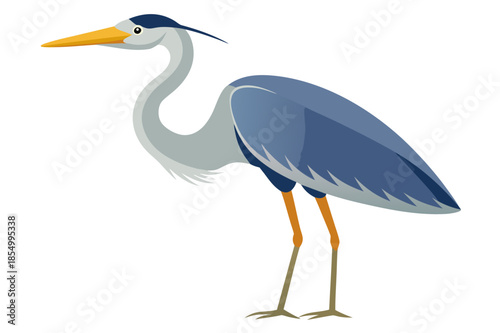 great blue heron ardea cinerea