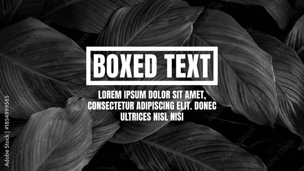 Boxed Out Text Examples Boxed Motion Text Stock Template | Adobe Stock