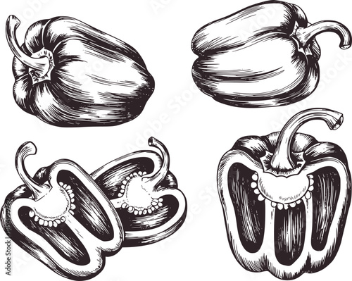 Black and white line of whole and halved bell peppers 1