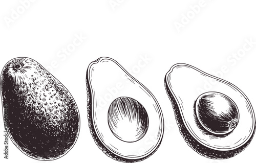 Hand drawn black and white avocado whole and halved line