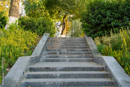 Concrete Staircase Surrounded by Greenery