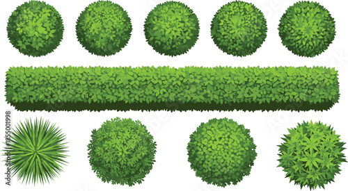 Green garden bushes and hedges top view set with round shrubs plants foliage elements for landscape design illustration