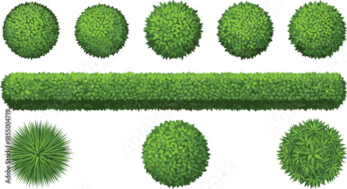 Top view green garden bushes and hedges collection with round shrubs foliage elements for landscaping and outdoor design illustration
