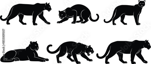 Panther silhouette collection set with various wild cat poses including stalking crouching and walking isolated vector icons for jungle wildlife design
