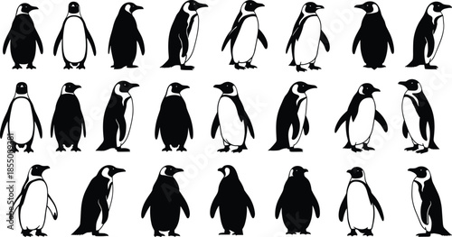 Penguin silhouette collection set with various antarctic bird poses including walking standing and swimming isolated vector icons for arctic wildlife design