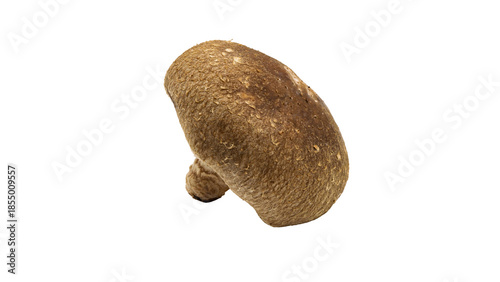 しいたけ　新鮮なきのこ素材　（背景透過）