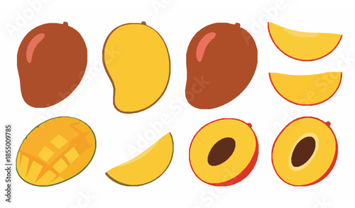 Tropical mango fruit vector set with whole and sliced illustrations isolated on white background