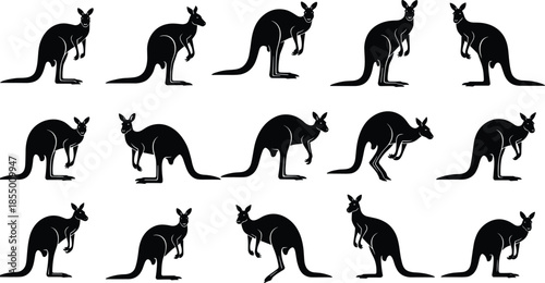 Set of kangaroo silhouette vector illustrations featuring various poses including jumping standing and hopping isolated on white background for nature design