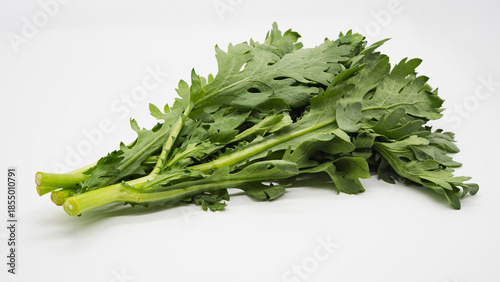 春菊 白背景 新鮮な葉物野菜
