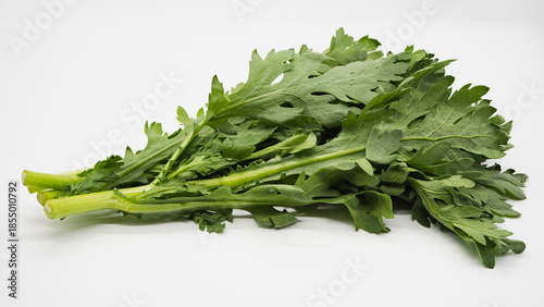 春菊 白背景 新鮮な葉物野菜