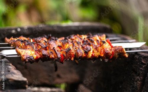 Grilled meat - shashlik.