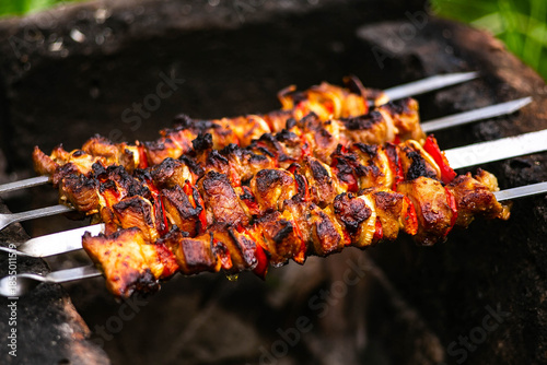 Grilled meat - shashlik.