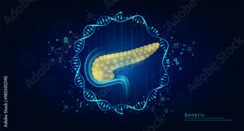 Genetic science medical. Organ pancreas hologram transparent inside the DNA RNA surrounded by chromosome nucleus cell icons on dark blue background. Banner vector.
