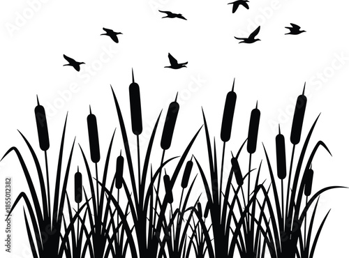 Black silhouette of cattails and flying birds against a white background bulrush