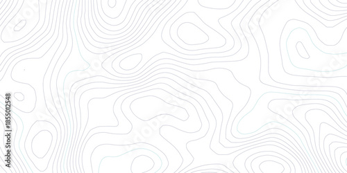 Abstract topographic map line pattern on white background featuring minimalist contour terrain lines in blue and cyan, forming a modern geographic elevation vector 