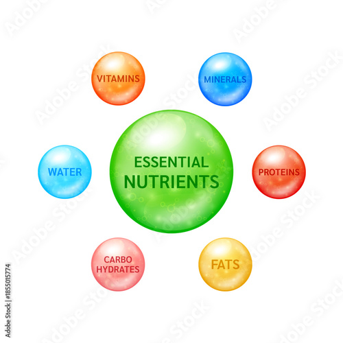 Six essential nutrients to the body. Carbohydrates Proteins Fats Vitamins Minerals and Water. Vector EPS10.