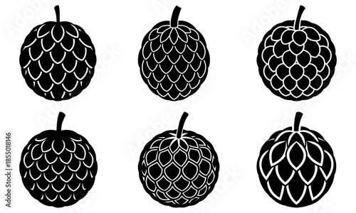 Six Black and White Horned Melon Silhouettes on White Background kiwano African horned cucumber