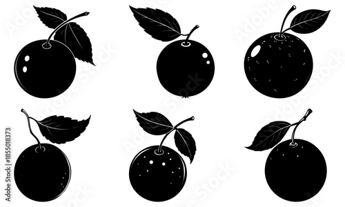 Black plums with leaves on white background fruit leaf