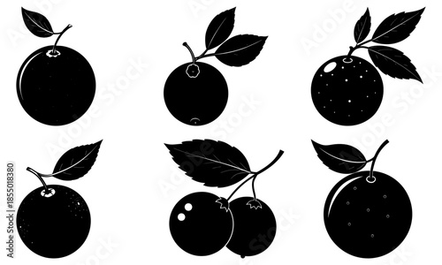 Black Plums with Leaves Silhouette on White Background fruit leaf
