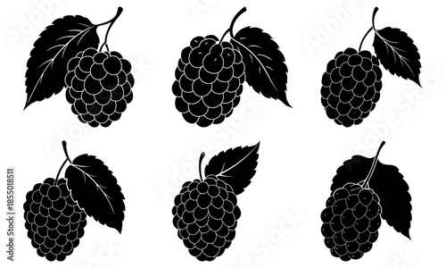 Five Blackberry Clusters with Leaves on White Background fruit