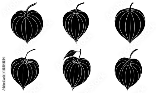 Black and white horned melon fruit silhouettes on white background kiwano African horned cucumber