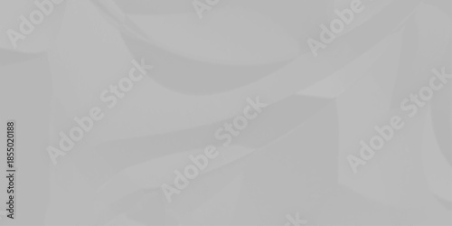 Creased white blank page detail wrinkle blank white canvas. old paper crumple texture wrinkle. parchment empty letter texture.