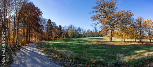 Schönes Bayern: Spaziergang, Wanderung am Starnberger See im Herbst, Nähe Bernried: Weitwinkel, Panorama vom Weg