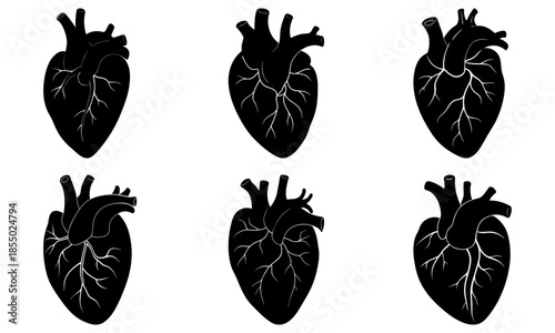 Six black heart with visible veins and arteries on white background anatomy medical
