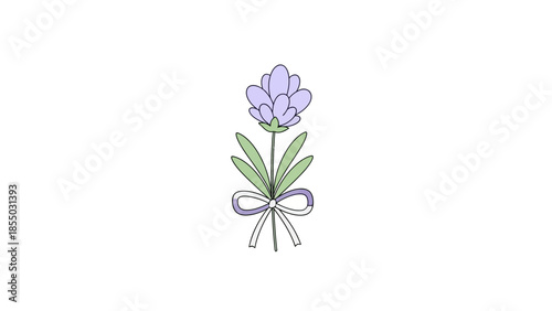 Lavender sprig tied with a bow, delicate illustration on white background