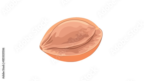 Isolated apricot kernel with vibrant color and smooth texture on white background