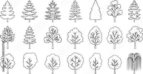 Set of coniferous and deciduous trees for architecture and landscape design, line drawing, contour. Vector illustration
