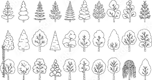 Set of coniferous and deciduous trees for architecture and landscape design, line drawing, contour. Vector illustration
