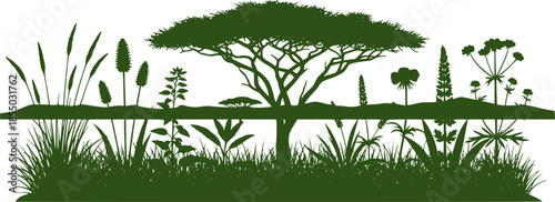 Set of plants and herbs. Silhouette picture. African savannah landscape. Africa acacia tree. Isolated on white background. Vector.

