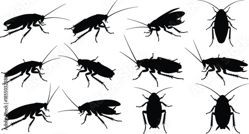 Cockroach silhouettes, insect vector icons, black pest graphics, entomology clipart, top and side views, bug anatomy, silhouette set, pest control, insect poses, biology illustration