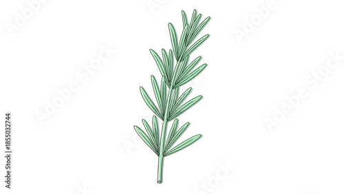 Stylized Rosemary Sprig with Clustered Green Leaves