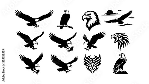 Scalable Eagle Silhouette Vector Icon Set in Solid Style for Wildlife and Freedom Themes