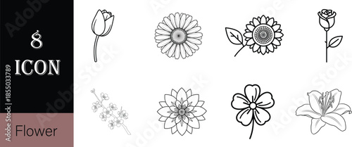 set of vector floral elements