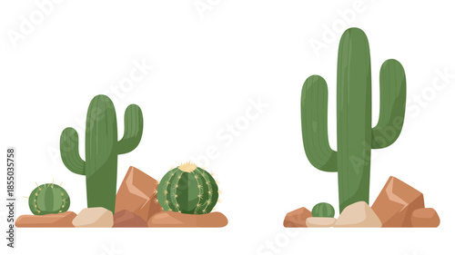 Beautiful desert cactus illustration with various plants and rocks