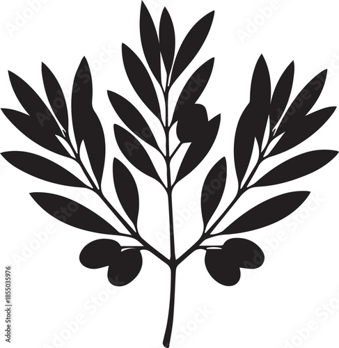 Silhouette of olive branch