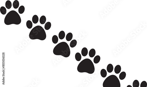 Trail of dog paw prints