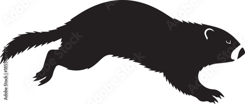 Black silhouette of a ferret running on a white background