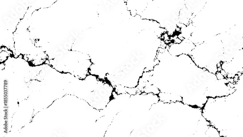 black and white marble texture with cracks and veins