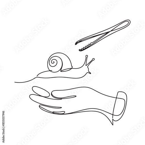 A delicate line drawing of a snail held in an open hand with tweezers
