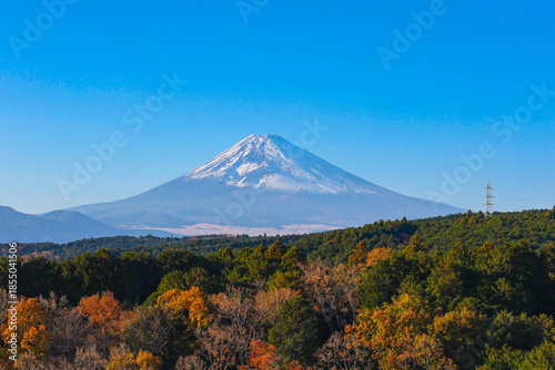 The view of Mount Fuji in autumn is colorful.