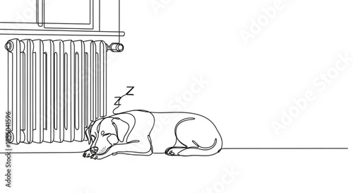 Sleeping dog resting peacefully by radiator near window  