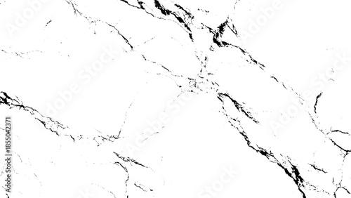 white marble texture with black veins